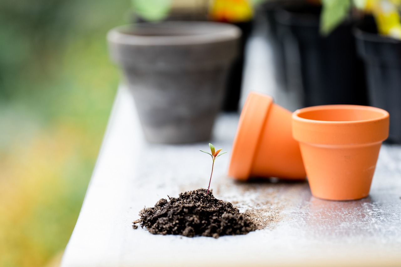 The Connection Between Healthy Soils and Biodiversity